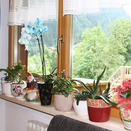 Apartment Haus Stockl Finkenberg